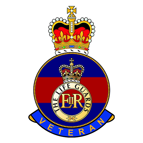 Life guards Regiment Pin Badge